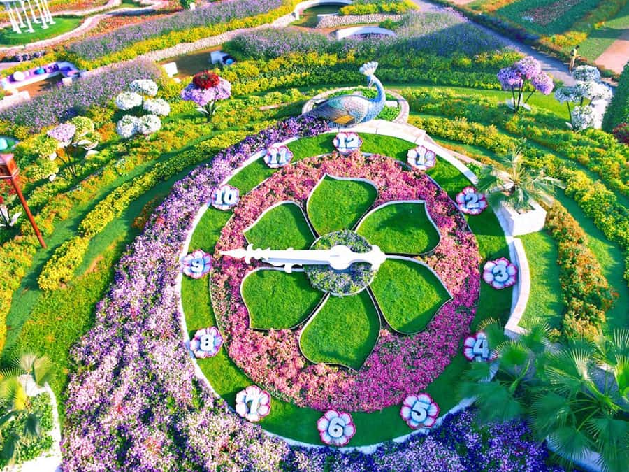 Dubai: Miracle Garden Entry Ticket with Hotel Transfer - Entering Miracle Garden and getting your bearings