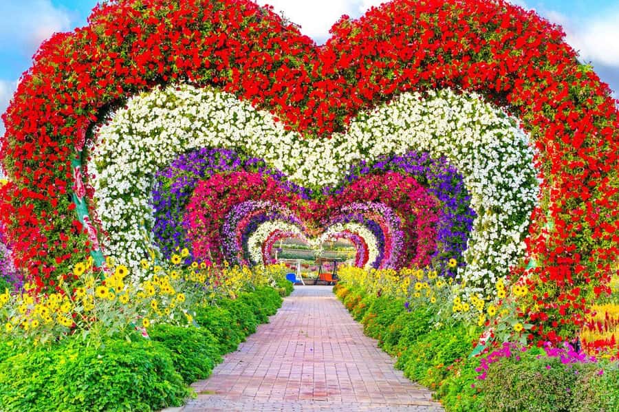 Dubai: Miracle Garden, Global Village, and Dubai Frame - Miracle Garden: Flowers Shaped for the Camera