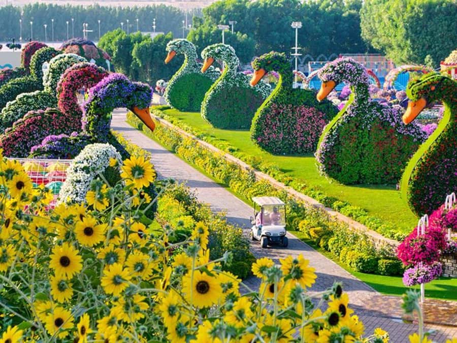 Dubai: Miracle Garden, Global Village, and Dubai Frame - Dubai Frame: Confirm the Third Stop Before Paying