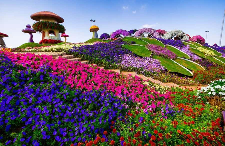 Dubai: Miracle Garden, Global Village, and Dubai Frame - How to Plan Your Time