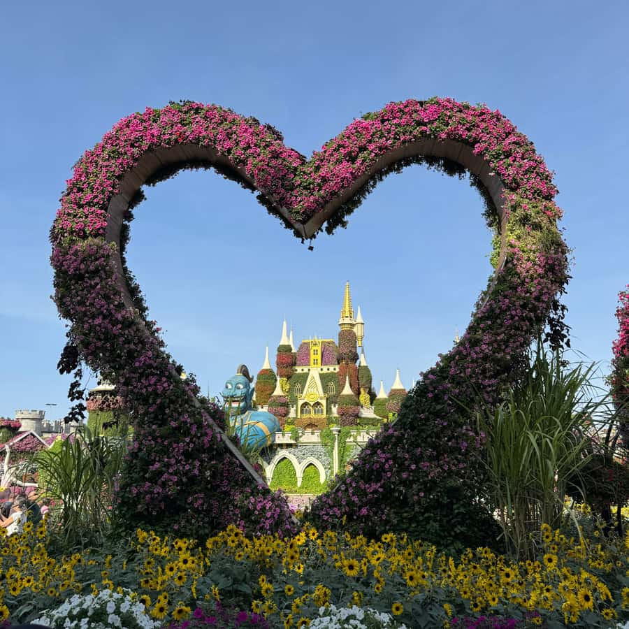 Dubai: Miracle Garden Ticket With Transfer - Practical preparation for the day