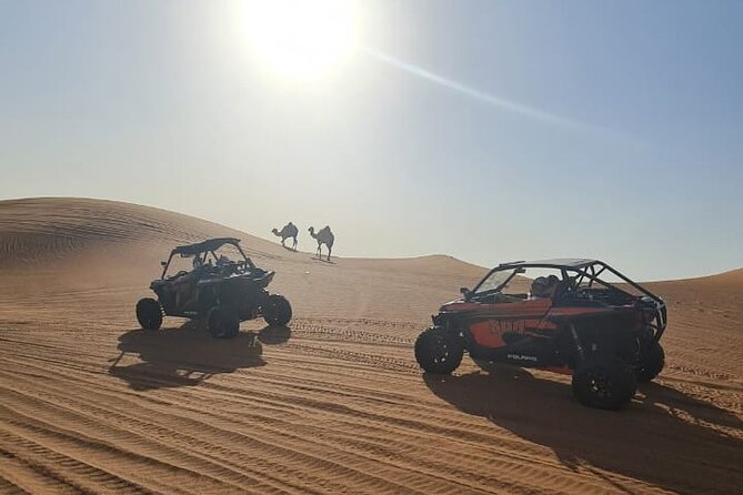 Dubai Morning Buggy Dunes Safari with Sandboarding & Camel Ride - Photos, water, and the practical comforts