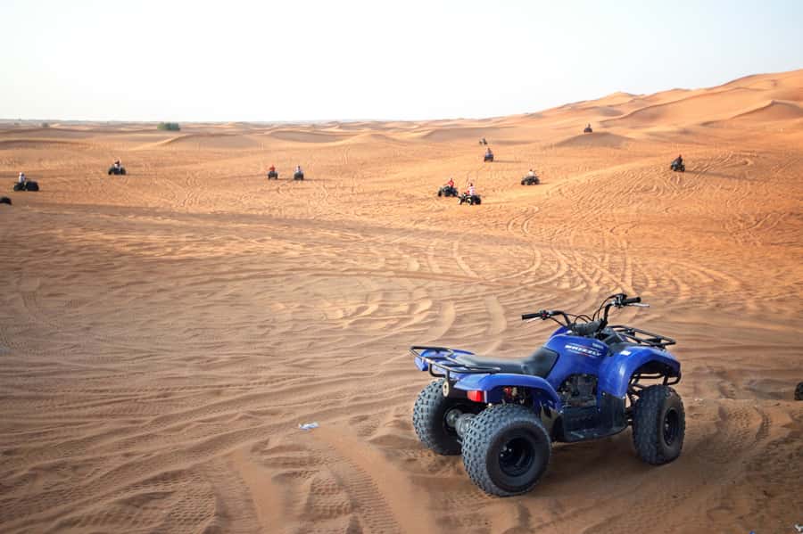 Dubai: Morning Desert Safari - Who will enjoy this safari most?