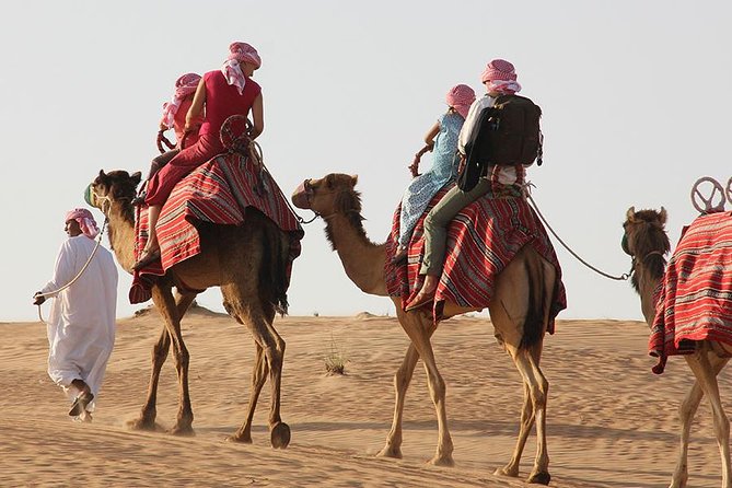 Dubai: Morning Desert Safari - What the guides add to the morning