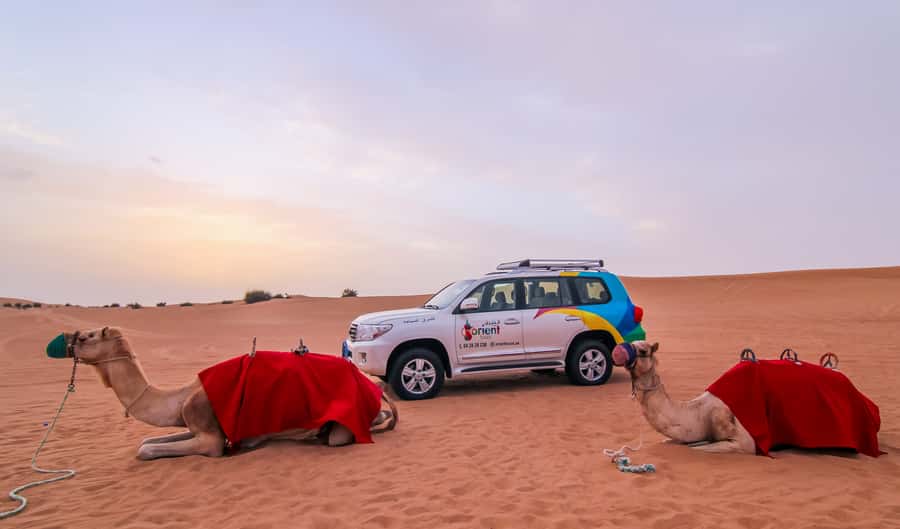 Dubai: Morning Desert Safari with Camel Ride & Sandboarding - Sandboarding gives you a second kind of thrill