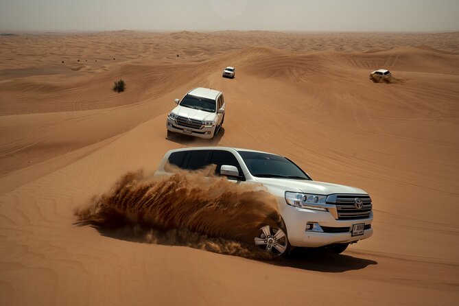Dubai Morning Desert Safari with Dune Bashing and Breakfast - The Dubai Desert Conservation Reserve portion