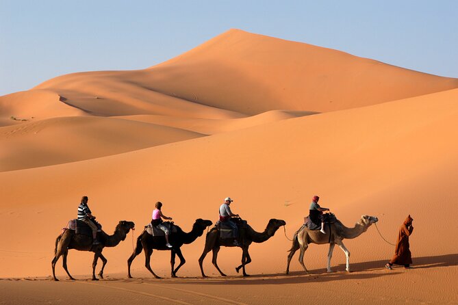 Dubai Morning Desert Safari with Quad Bike sharing Car - Key points at a glance