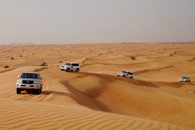 Dubai Morning Desert Safari with Quad Biking & More Activities - The short camel ride and optional falcon photographs