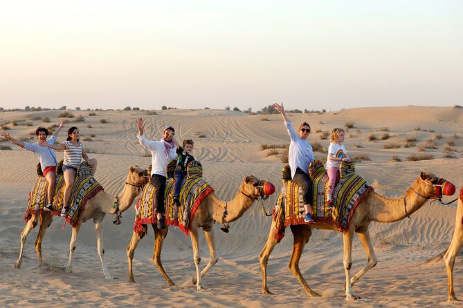Dubai: Morning Safari by Vintage G Class & Al Marmoom Experience - Why Al Marmoom feels different from a standard Dubai safari