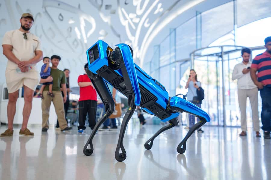 Dubai: Museum of the Future Admission Ticket - The DNA store and the upper viewing platform