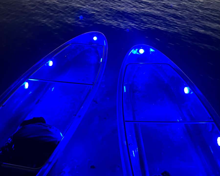 Dubai: Night Kayaking Tour - Is $112 good value for two people?