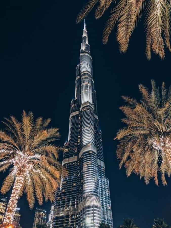 Dubai: Nighttime Guided City Tour by Van & Blue Water Island - Walking beside Dubai Marina