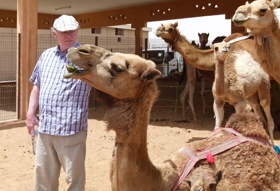 Dubai: Old City Walking Tour with Abra Ride - Al Seef and the first look at old Dubai
