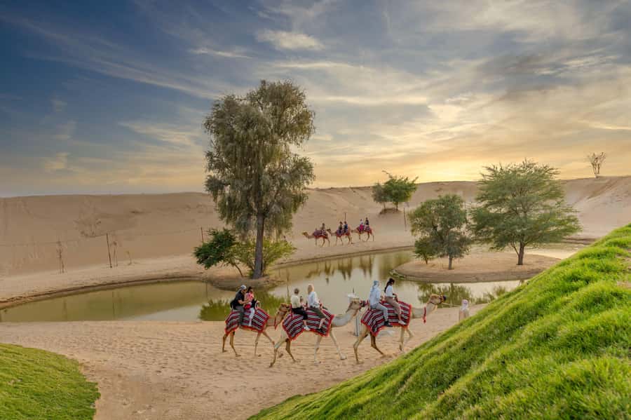 Dubai: Overnight Safari with Luxury Dome Stay & Stargazing - Camels, wildlife, and a slower sunset