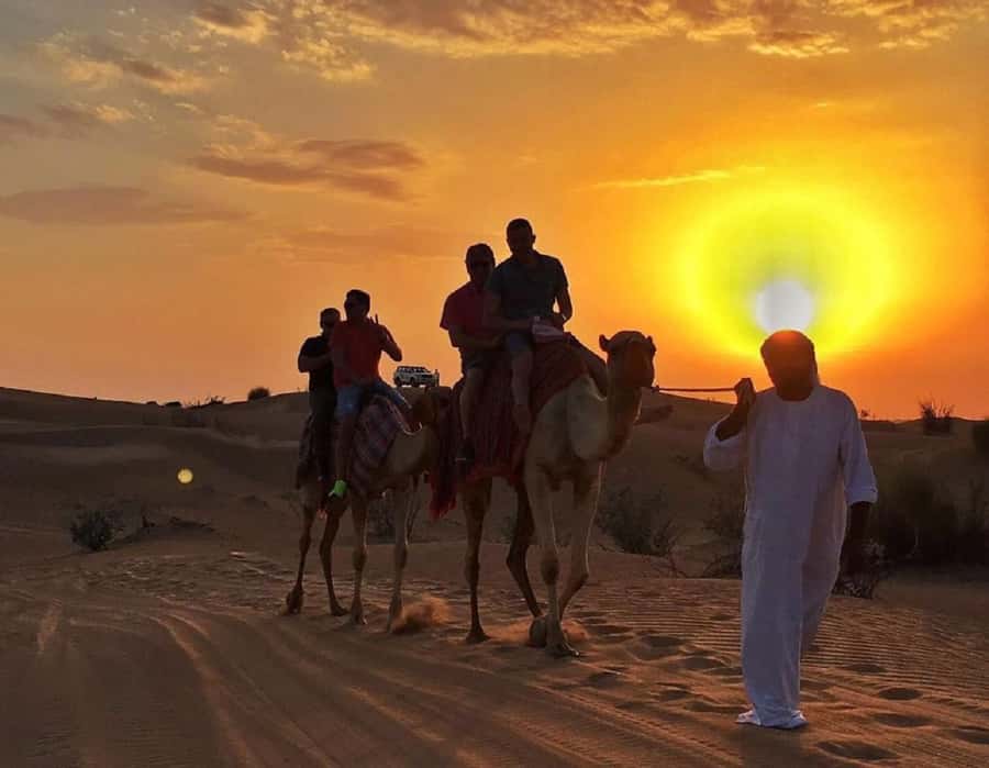 Dubai: Polaris RZR and Sandboarding Desert Adventure - Safety is not a footnote here