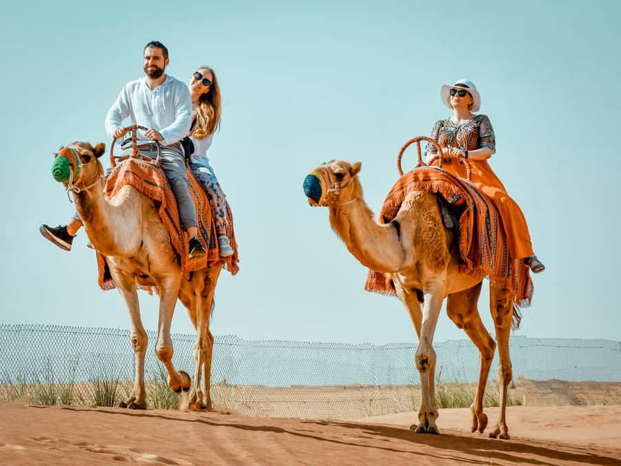 Dubai: Premium Red Dune Safari with Sandboarding & BBQ - Forty minutes of dune bashing