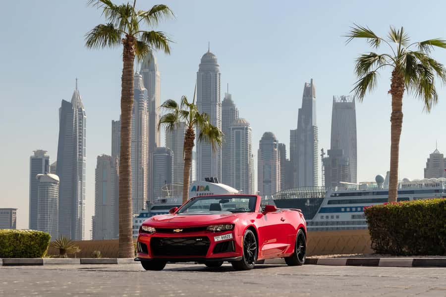 Dubai: Private City Sights Tour in a Cabriolet Convertible - The photo stops are more than quick roadside pauses