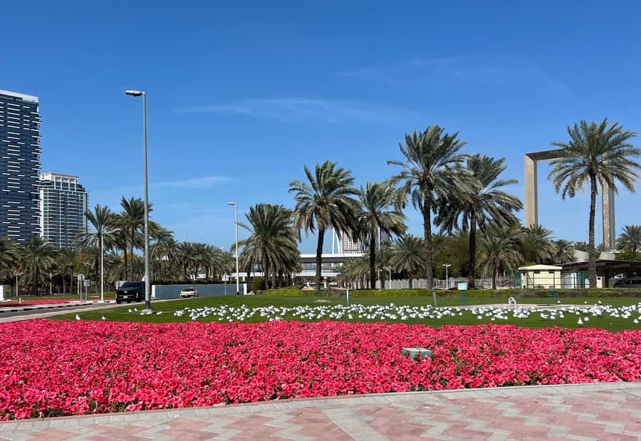 Dubai: Private City Tour with Burj Khalifa Levels 124/125 - A Six-Hour Introduction To Dubai