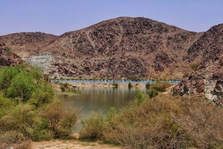 Dubai: Private Desert Day Tour and Wadi Shawka Pool Visit - Practical preparation for a smoother day