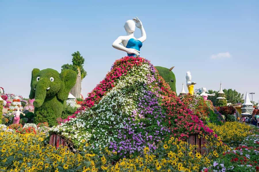 Dubai: Private Dubai Flora and Fauna Trip - Who will get the most from this outing