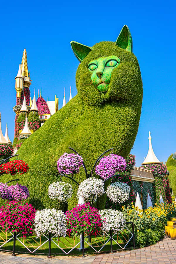 Dubai: Private Dubai Flora and Fauna Trip - Is $102 per person a fair price?
