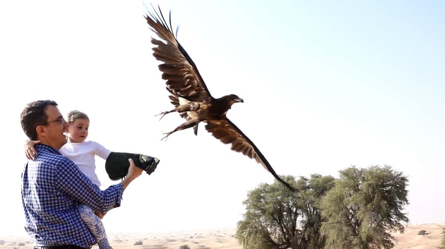 Dubai: Private Falconry Safari - A private morning in the Dubai desert