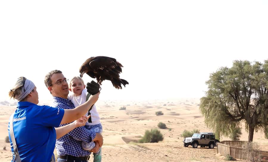 Dubai: Private Falconry Safari - Arabic coffee, dates, and the Emirati falcon camp