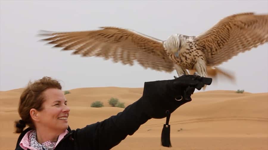 Dubai: Private Falconry Safari - Why the small group changes the experience