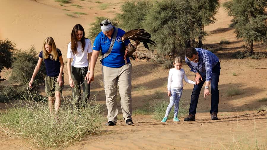Dubai: Private Falconry Safari - Watching for oryx, gazelles, and houbara bustards