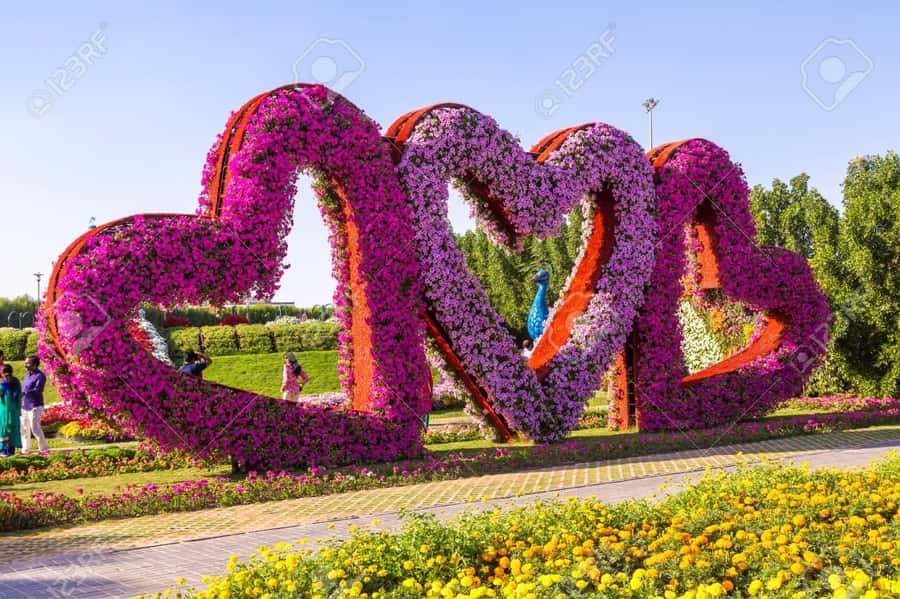 Dubai: Private Miracle Garden & Global Village Trip - The optional Butterfly Garden