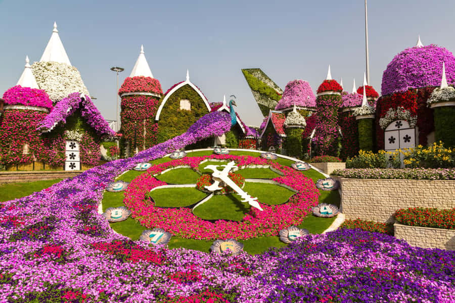 Dubai: Private Miracle Garden & Global Village Trip - Who should book this trip