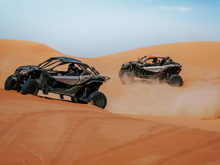 Dubai: Quad Bike or Dune Buggy Adventure & Optional Transfer - Riding the red dunes at Lehbab