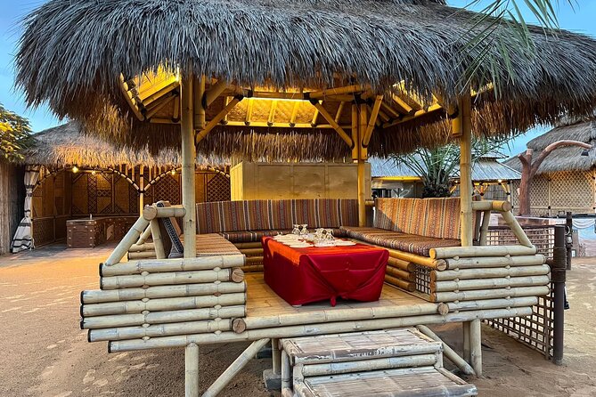 Dubai Red Desert Safari sharing basis with Camel, Shows & Dinner - Buffet Dinner and Three Different Shows