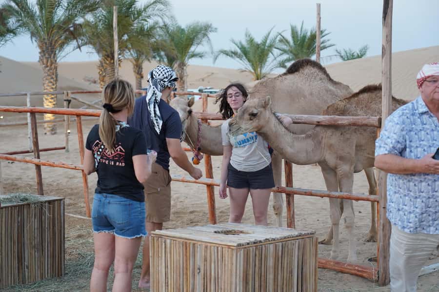 Dubai: Red Dune Desert Safari, Quad Bike, Camels, and BBQ - BBQ dinner and entertainment