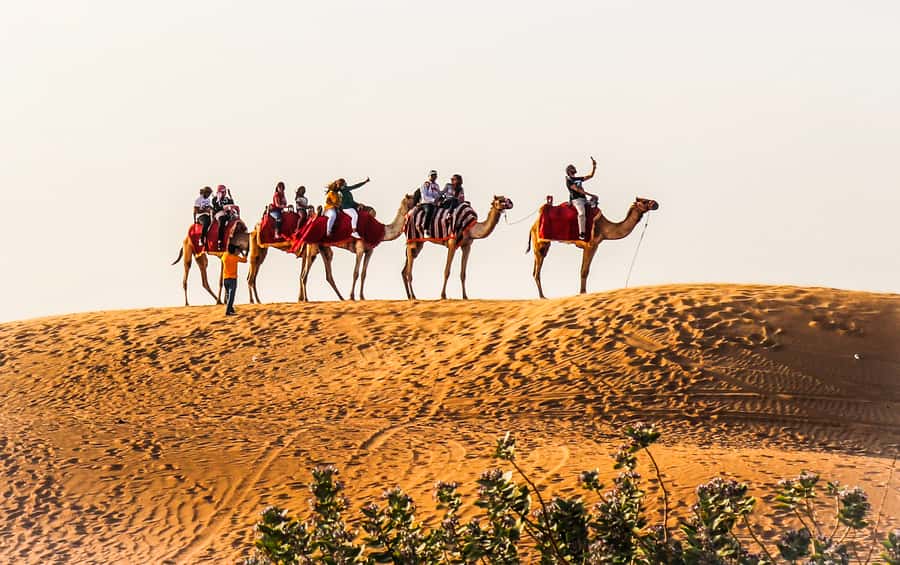 Dubai: Red Dune Safari, Quad Bike, Camel Ride, BBQ Dinner - Why the red dunes make this safari worth your time