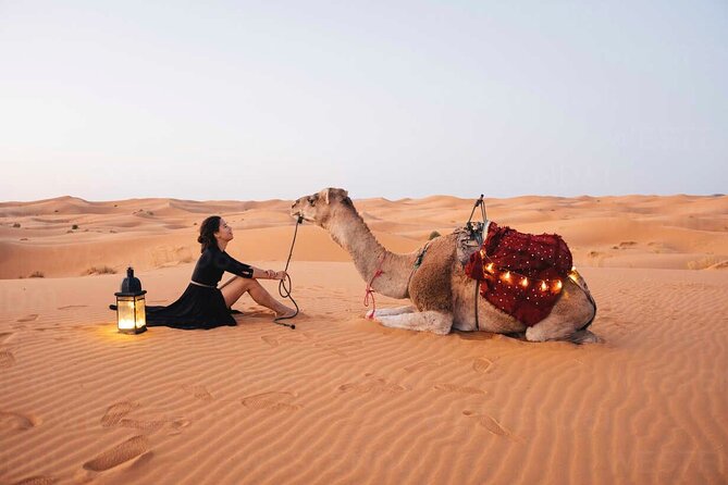 Dubai: Red Dunes Desert Safari, Camel ride, Sandboard, Quad Bike - Key points to know before you book