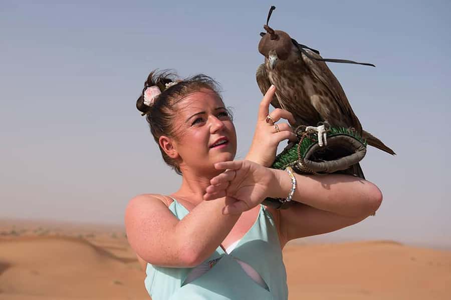 Dubai: Red Dunes Desert Safari with Premium Camp BBQ & Shows - What the $49 price really buys you