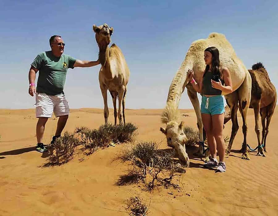 Dubai: Red Dunes Desert Safari with Premium Camp BBQ & Shows - Who should book this Lahbab safari?