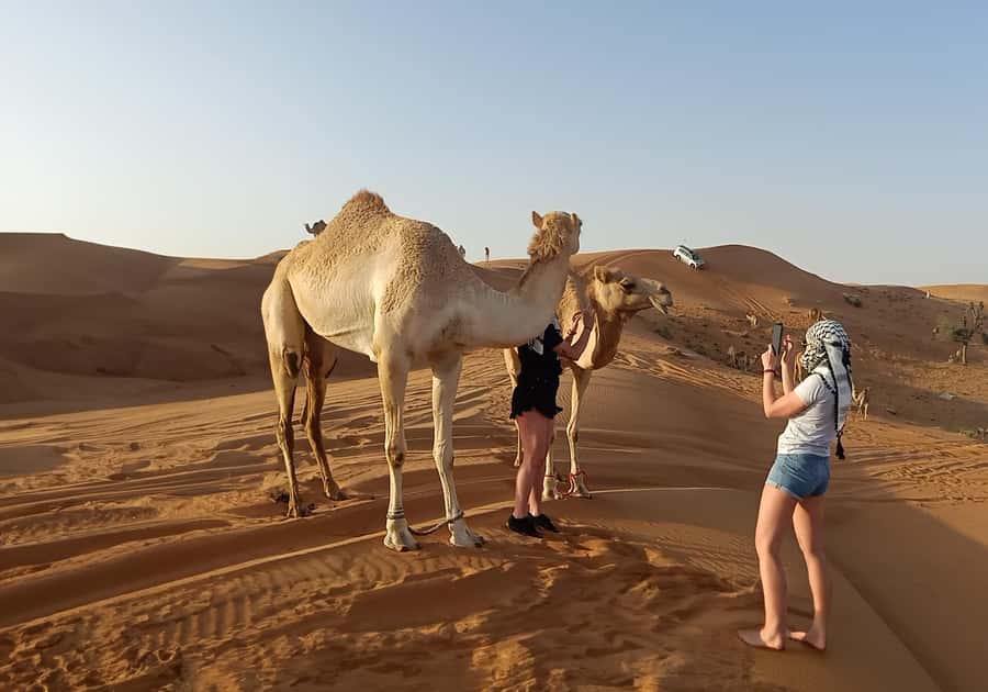 Dubai: Red Dunes Desert Safari with Premium Camp BBQ & Shows - The opening stops: camel, falcon, and sandboarding