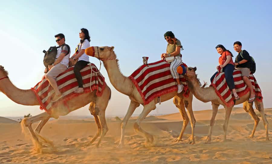 Dubai: Red Dunes Quad Bike with Sandboarding, Camels and BBQ - Fire, horses, falcons, and Yola dancing
