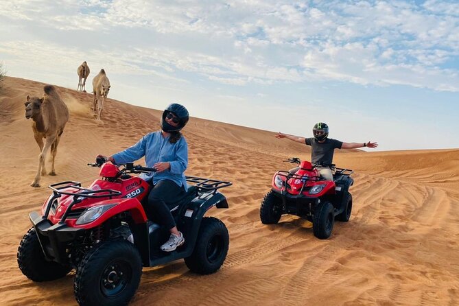 Dubai Red Dunes Safari, ATV, Camel ride, BBQ at Desert Camp - BBQ dinner, drinks, and the evening show