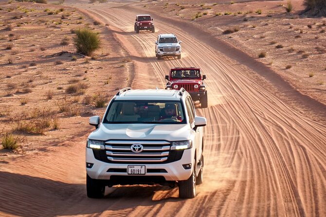 Dubai Red Dunes Safari: Dune Bashing, Camel Ride & Breakfast - Leaving Dubai for the red dunes