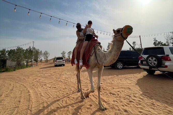 Dubai: Red Dunes, Sandsurf, Camel Ride, BBQ Dinner at Desert Camp - The camel ride is mainly for the picture