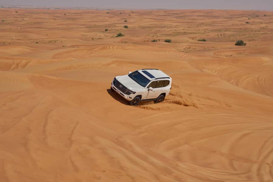 Dubai’s Best Desert Safari: Live Show & Gourmet BBQ Dinner - Nine shows, from Sufi dance to fire performance