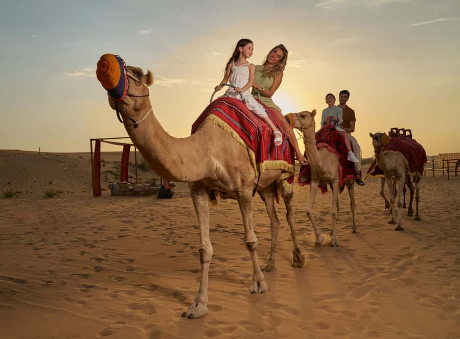 Dubai’s Best Desert Safari: Live Show & Gourmet BBQ Dinner - Dune bashing: the tour’s main thrill