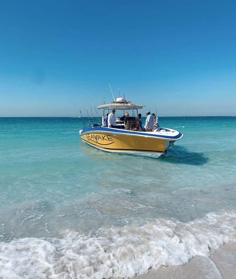 Dubai's BEST Fishing Charter – No Fish, No Pay! - Booking advice for a smoother outing