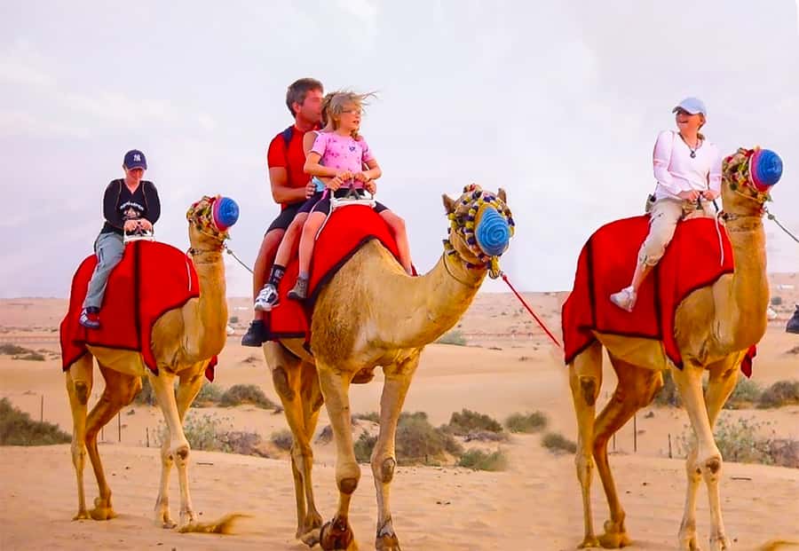 Dubai: Safari, Quad Bike, Camel Ride, and Buffet Dinner - Key points at a glance