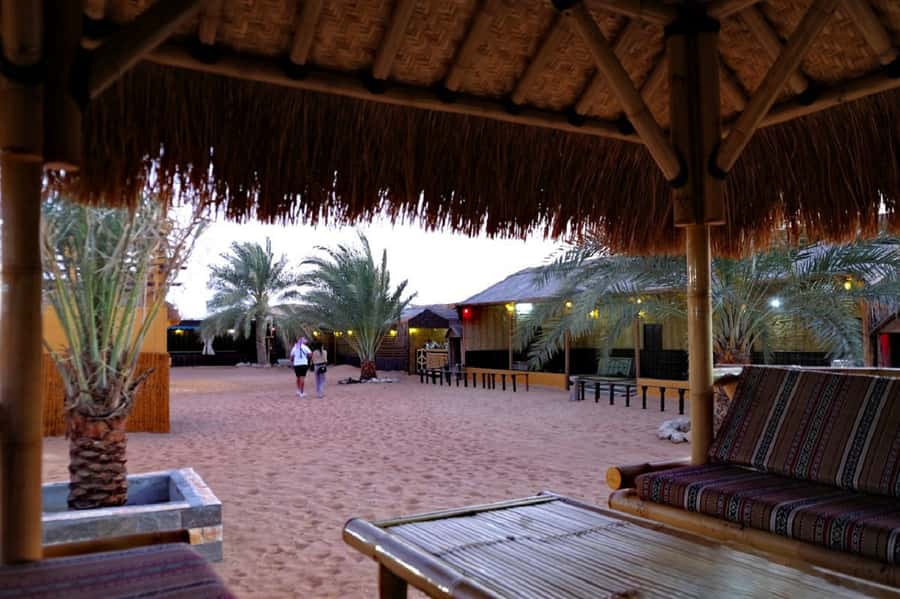 Dubai: Safari, Quad Bike, Camel Ride, and Buffet Dinner - Who will enjoy this safari most?