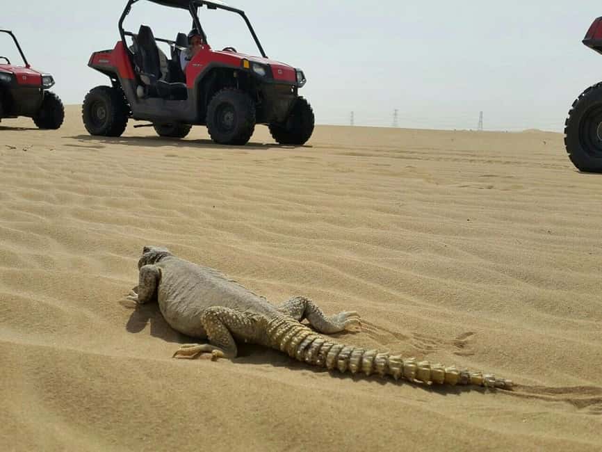 Dubai: Self-Drive Dune Buggy Safari with Pickup and Drop-Off - A real desert drive, not a passenger-only safari