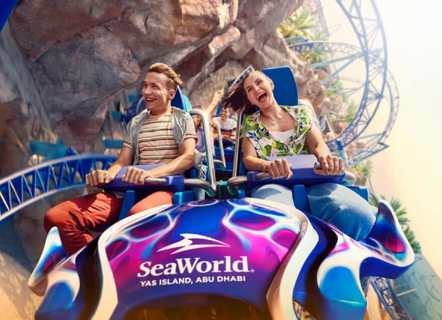 Dubai: Sheikh Zayed Mosque & SeaWorld Entry w/ Transfer - Entering Sheikh Zayed Grand Mosque